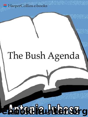 The Bush Agenda by Antonia Juhasz