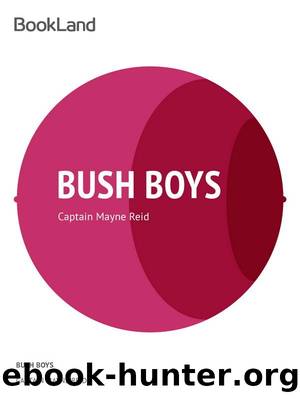 The Bush Boys by Mayne Reid