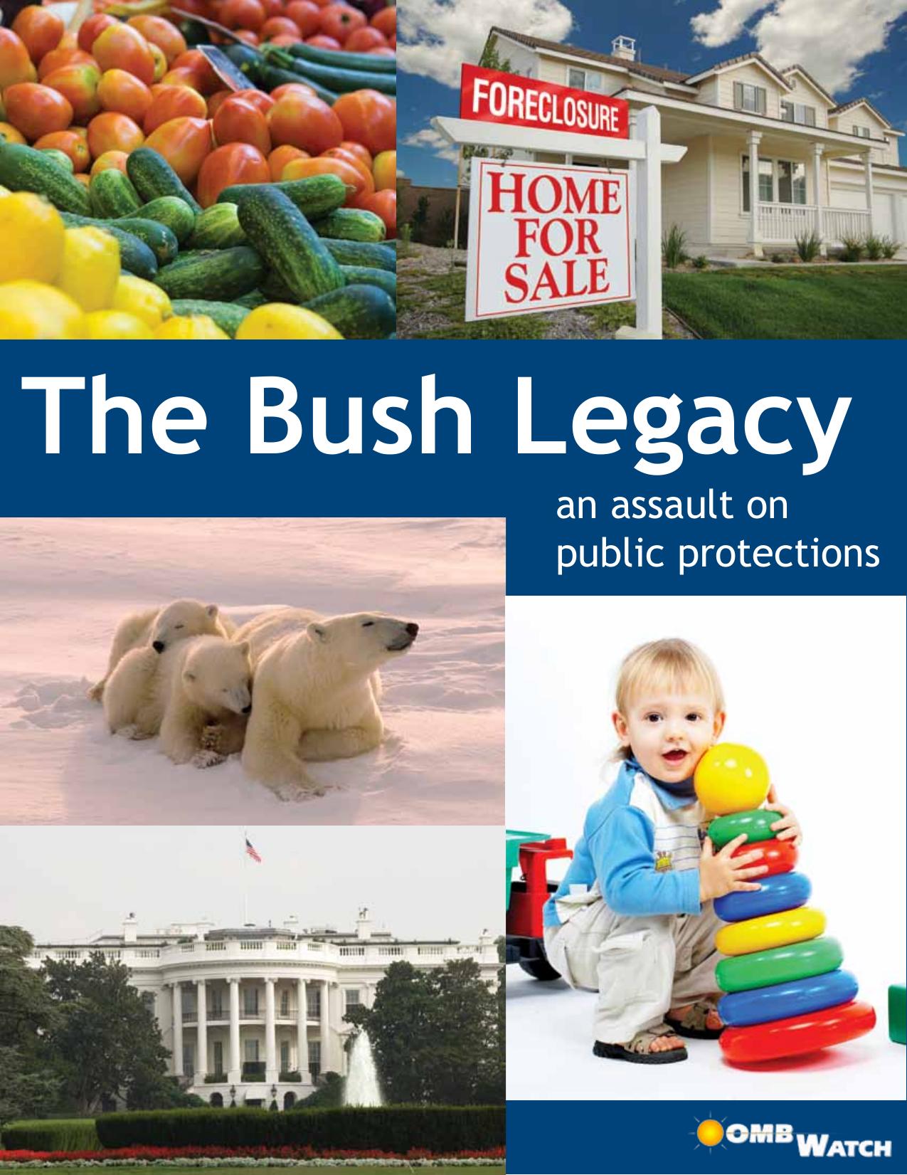 The Bush Legacy: An Assault on Public Protections by Osha Gray Davidson Brian Gumm