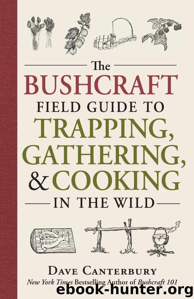 The Bushcraft Field Guide to Trapping, Gathering, and Cooking in the Wild by Dave Canterbury