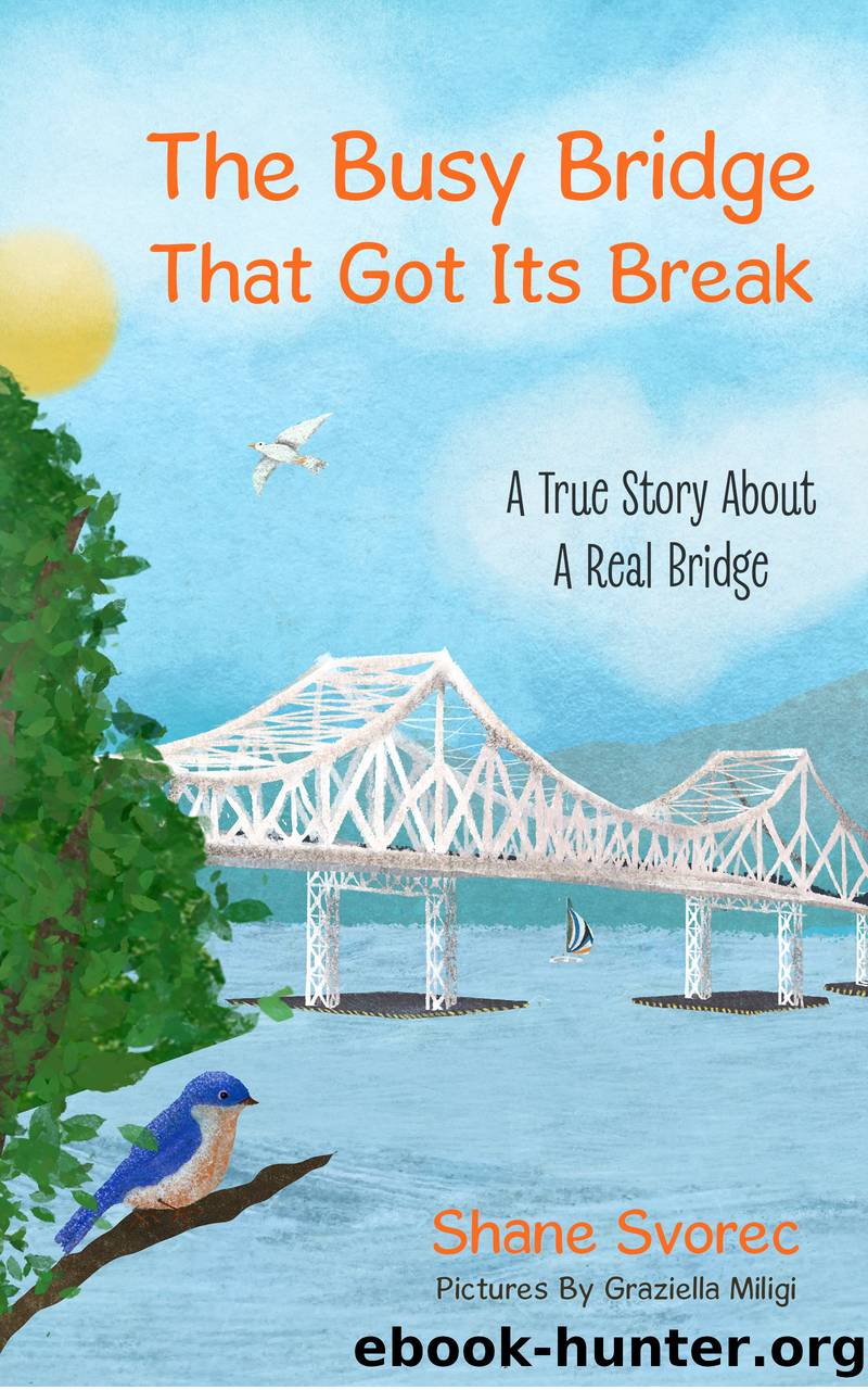 The Busy Bridge That Got Its Break by Shane Svorec