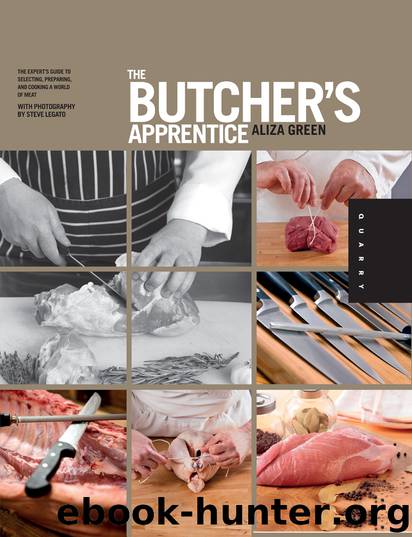 The Butcher's Apprentice by Aliza Green