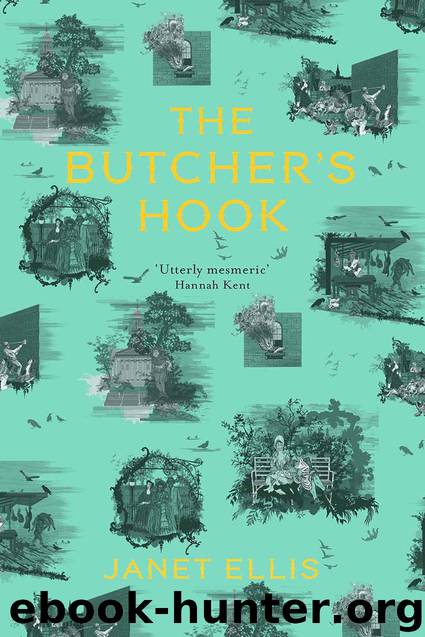 The Butcher's Hook by Janet Ellis