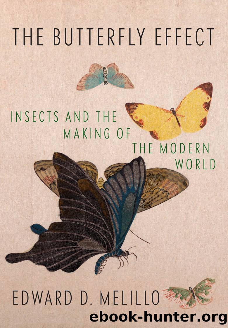 The Butterfly Effect by Edward D. Melillo