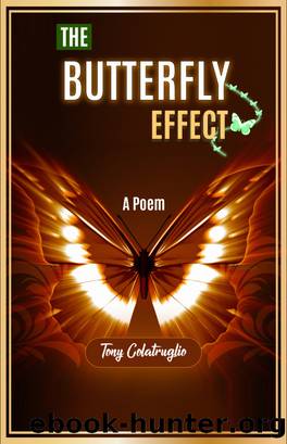 The Butterfly Effect by Tony Colatruglio