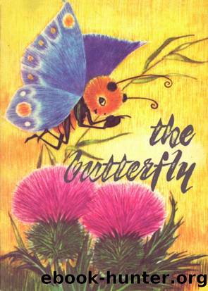 The Butterfly by Unknown