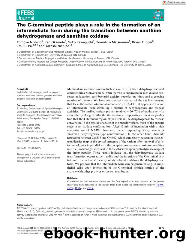 The Câterminal peptide plays a role in the formation of an intermediate form during the transition between xanthine dehydrogenase and xanthine oxidase by Unknown