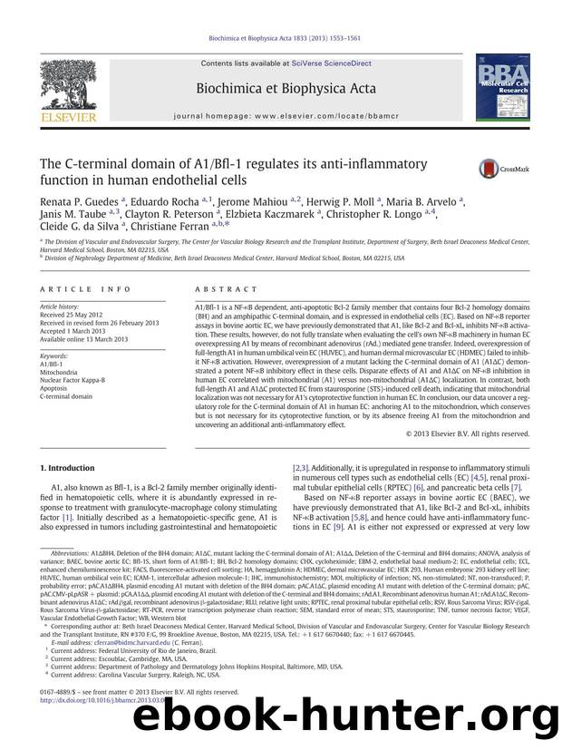 The C-terminal domain of A1Bfl-1 regulates its anti-inflammatory function in human endothelial cells by unknow