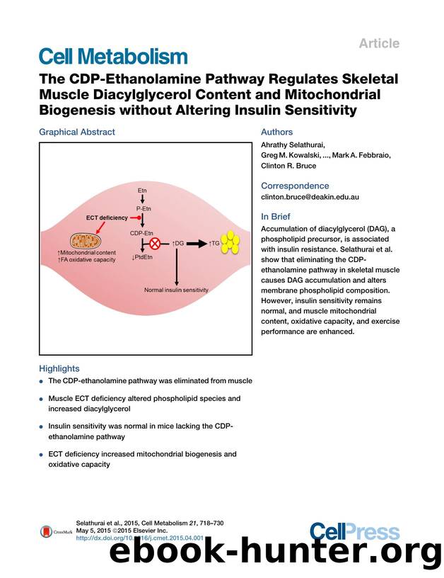 The CDP-Ethanolamine Pathway Regulates Skeletal Muscle Diacylglycerol Content and Mitochondrial Biogenesis without Altering Insulin Sensitivity by unknow