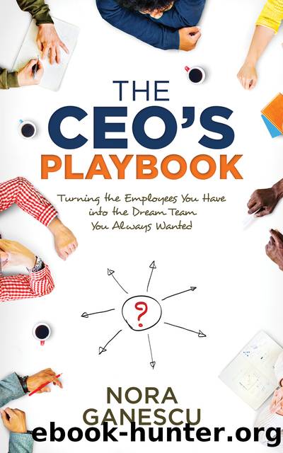 The CEO's Playbook by Ganescu Nora;
