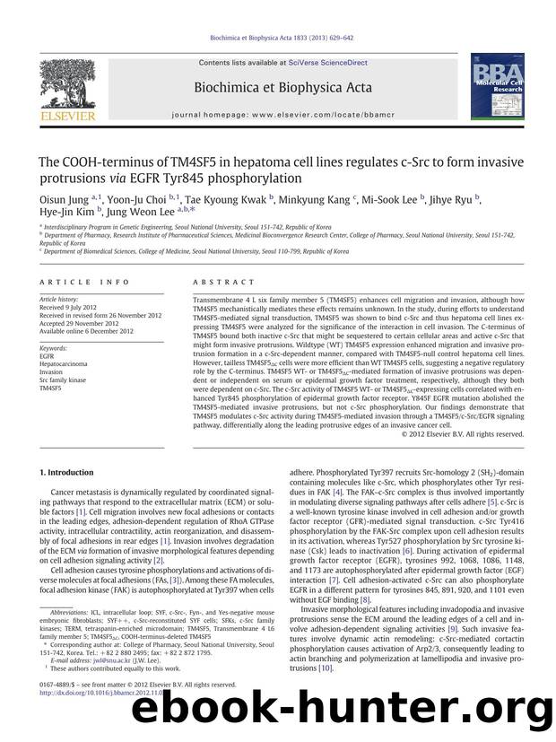 The COOH-terminus of TM4SF5 in hepatoma cell lines regulates c-Src to form invasive protrusions via EGFR Tyr845 phosphorylation by unknow