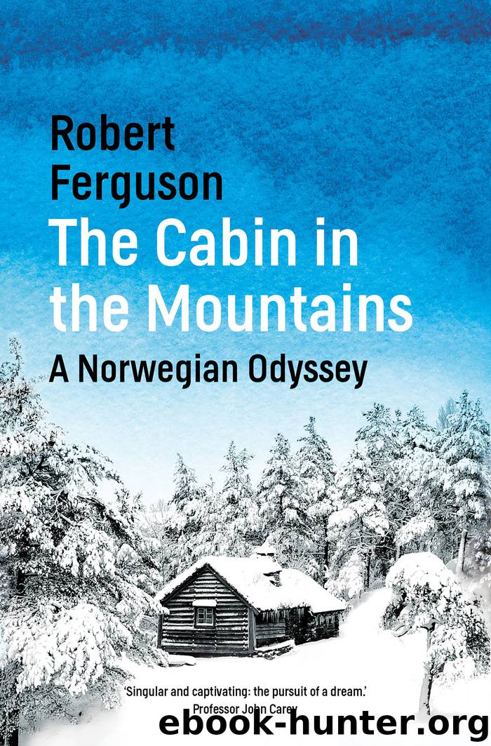 The Cabin in the Mountains by Robert Ferguson
