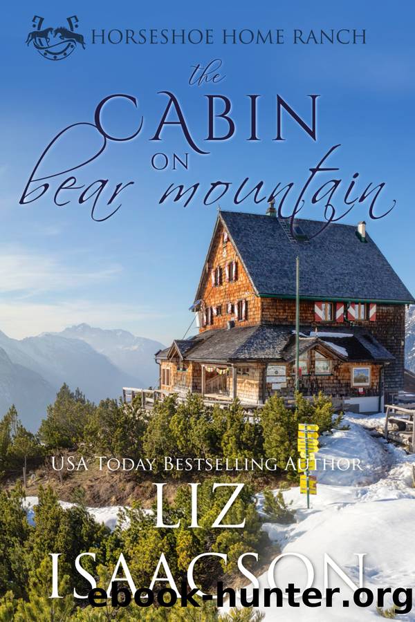 The Cabin on Bear Mountain by Liz Isaacson