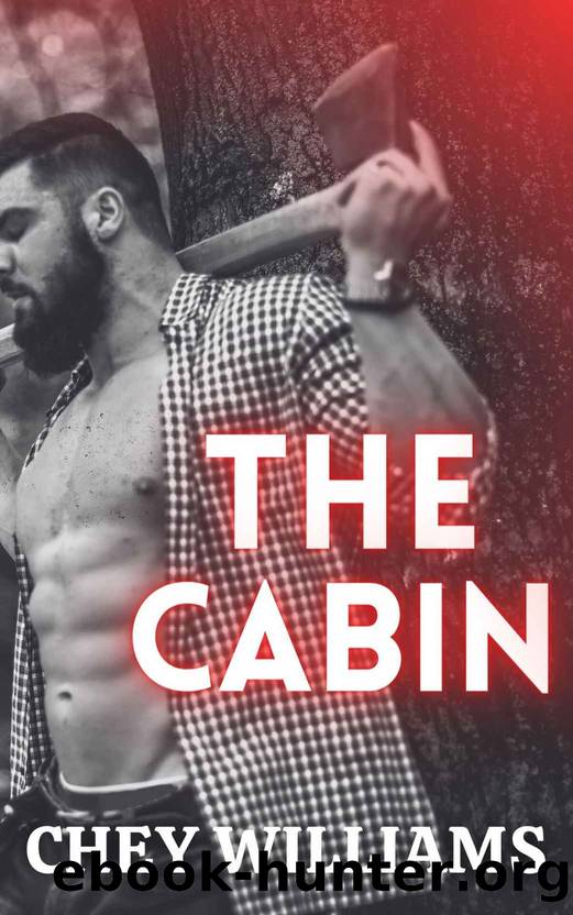 The Cabin: A forced proximity, strangers-to-lovers romance with the cinnadombook boyfriend of your dreams by Chey Williams