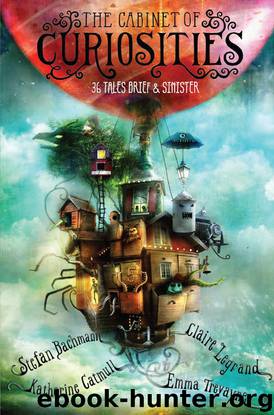 The Cabinet of Curiosities by Stefan Bachmann