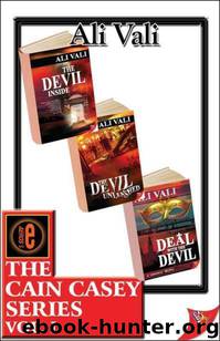 The Cain Casey Series 01-03 by Ali Vali