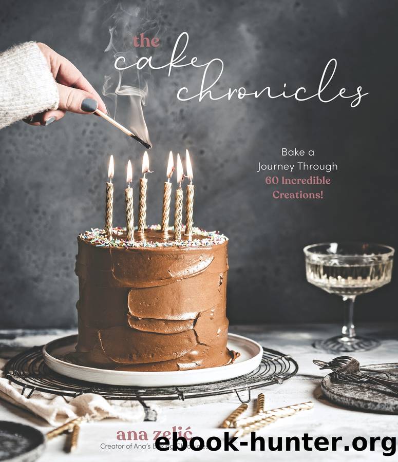 The Cake Chronicles by Ana Zelić