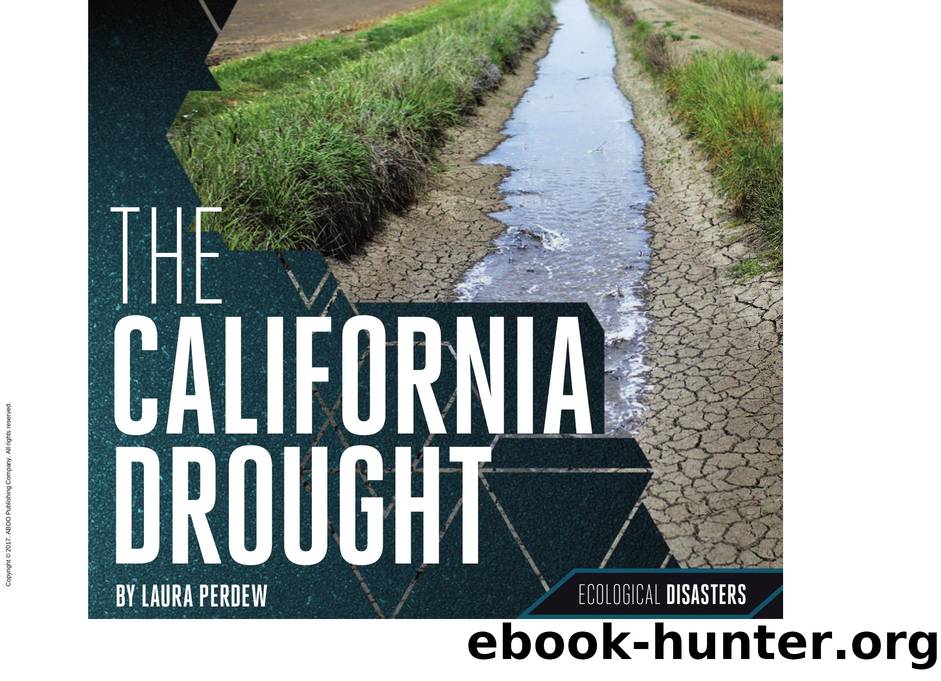 The California Drought by Laura Perdew