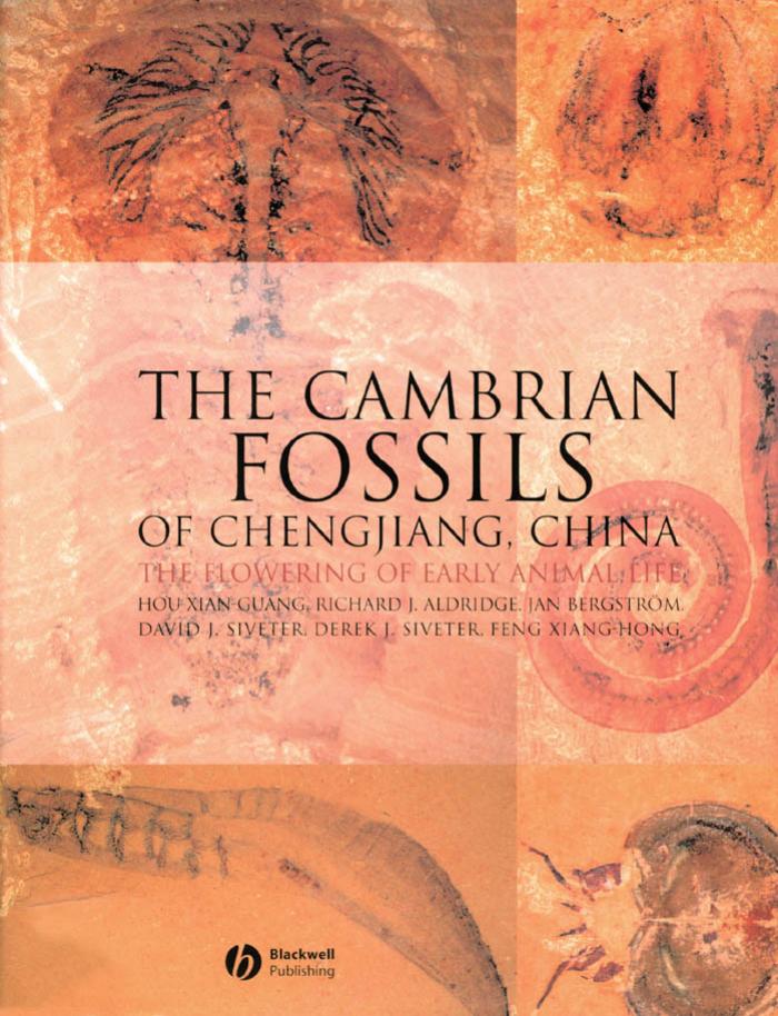 The Cambrian Fossils of Chengjiang China by The Flowering of Early Animal Life