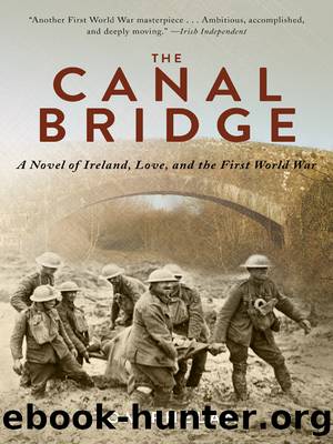 The Canal Bridge by Tom Phelan