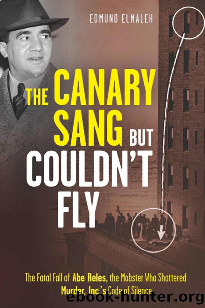 The Canary Sang but Couldn't Fly by Edmund Elmaleh