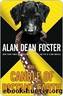 The Candle of Distant Earth by Foster Alan Dean