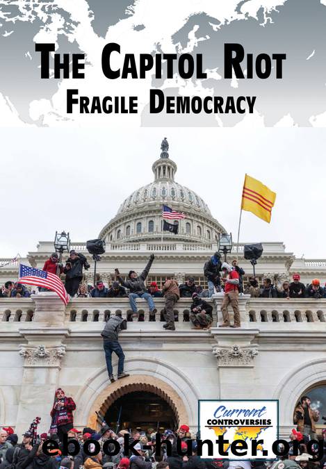 The Capitol Riot by Gary Wiener