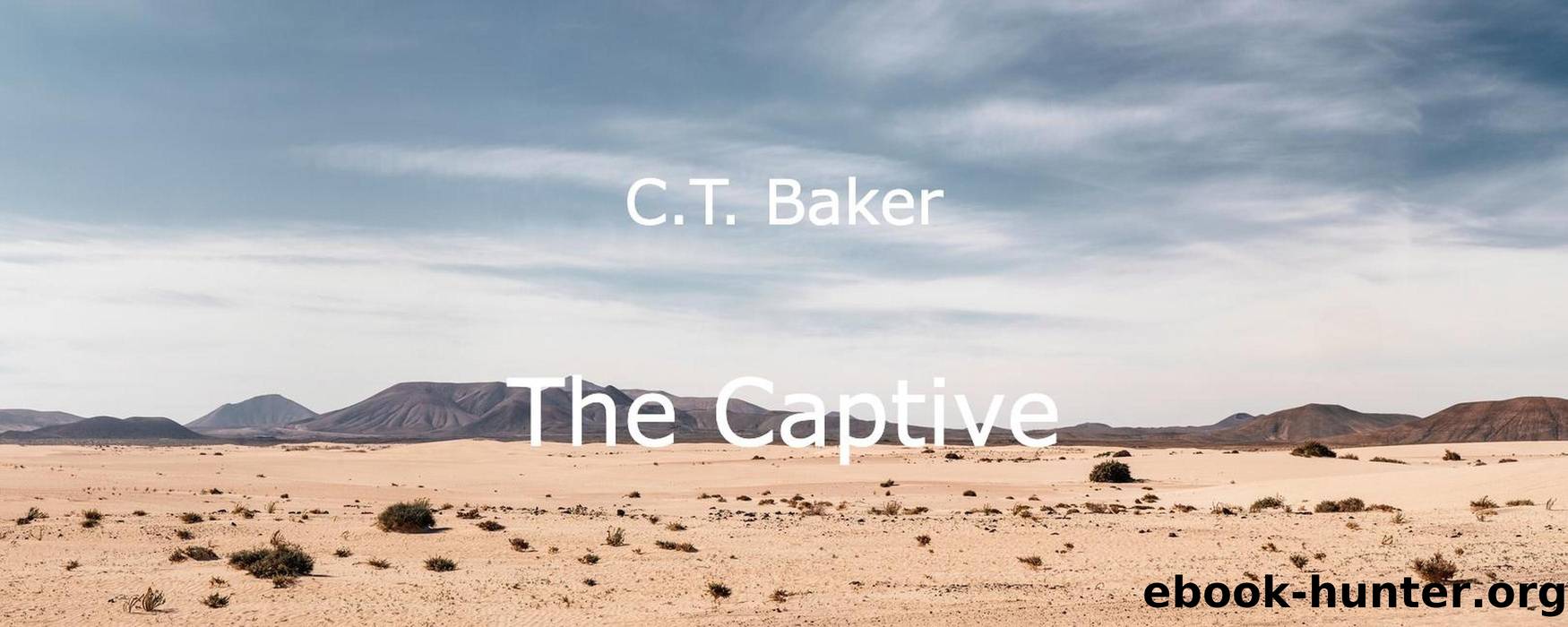 The Captive by C.T. Baker