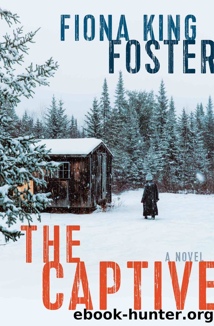 The Captive by Fiona King Foster