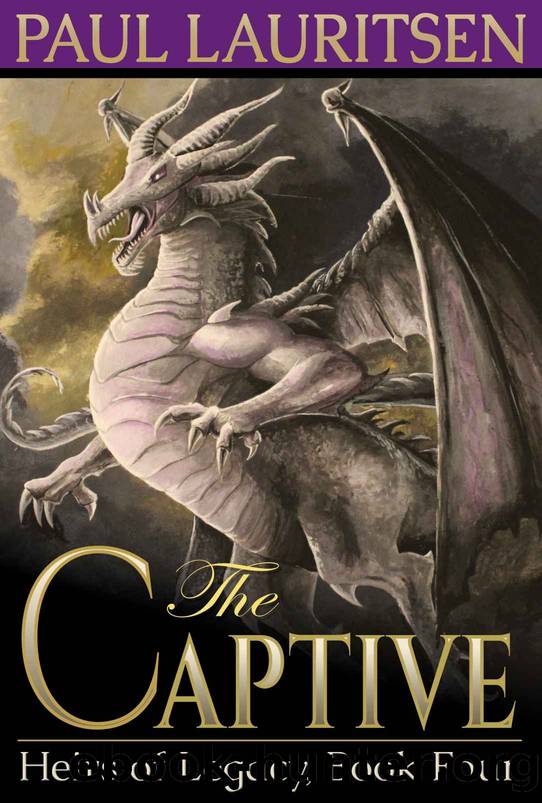 The Captive by Paul Lauritsen
