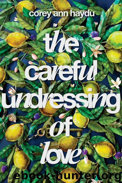 The Careful Undressing of Love by Corey Ann Haydu