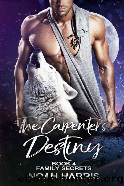 The Carpenter's Destiny (Family Secrets) by Noah Harris