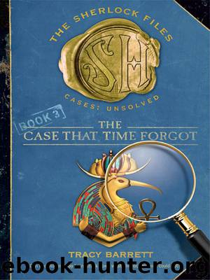 The Case That Time Forgot by Tracy Barrett
