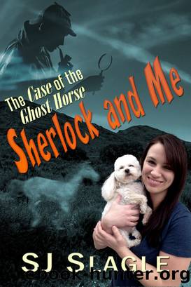 The Case of the Ghost Horse by SJ Slagle