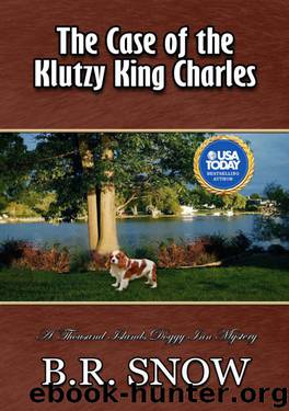 The Case of the Klutzy King Charles by B R Snow