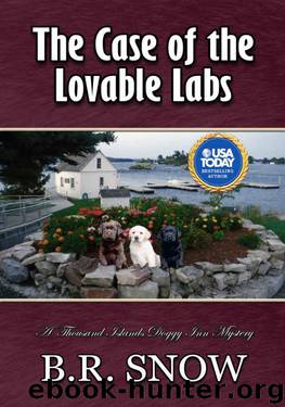 The Case of the Lovable Labs by B R Snow