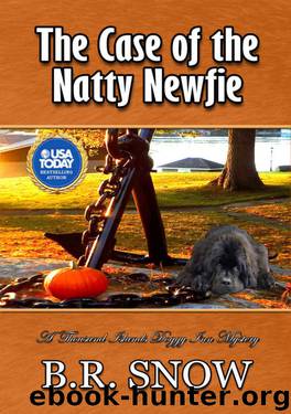 The Case of the Natty Newfie by B R Snow