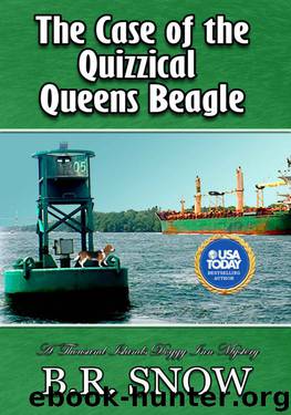 The Case of the Quizzical Queens Beagle by B R Snow