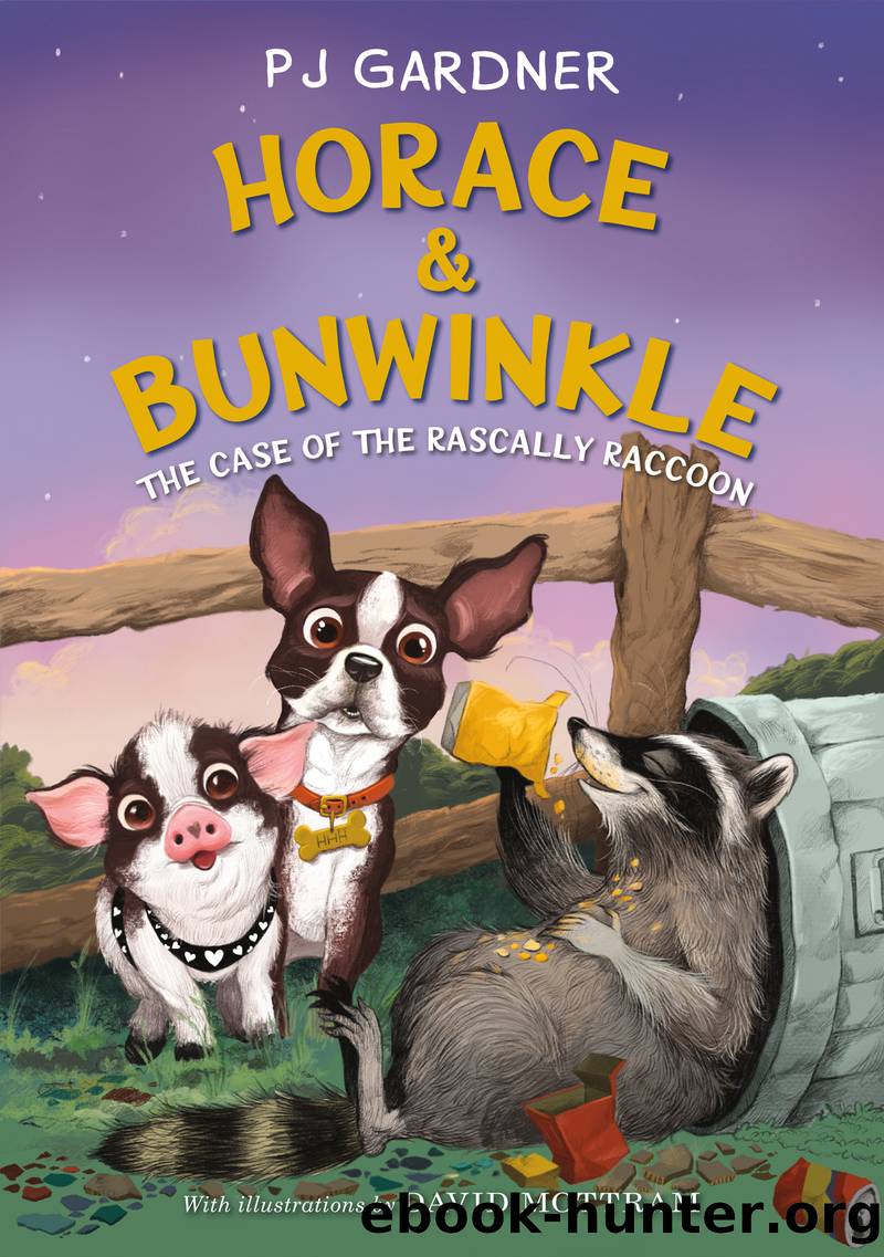 The Case of the Rascally Raccoon by PJ Gardner