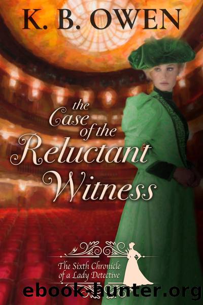 The Case of the Reluctant Witness by K.B. Owen