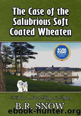 The Case of the Salubrious Soft Coated Wheaten by B R Snow