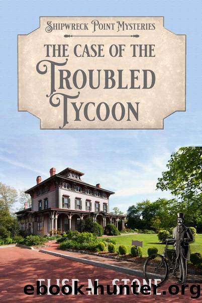 The Case of the Troubled Tycoon: A Gilded Age Historical Cozy Mystery (Shipwreck Point Mysteries Book 5) by Elise M. Stone