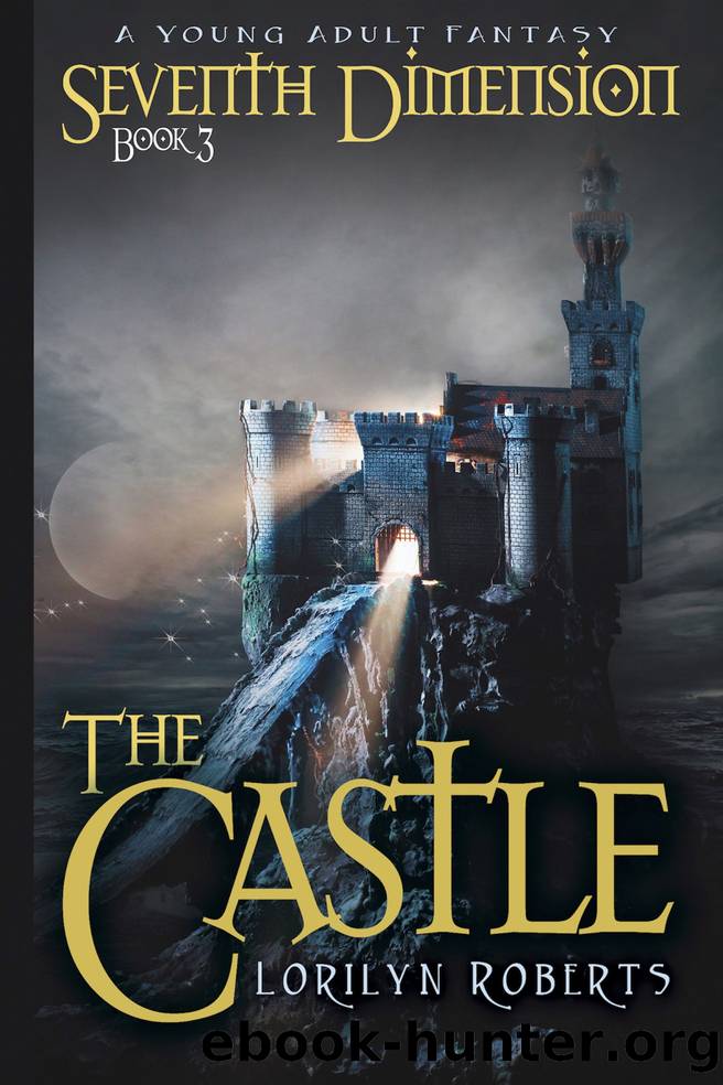 The Castle by Lorilyn Roberts