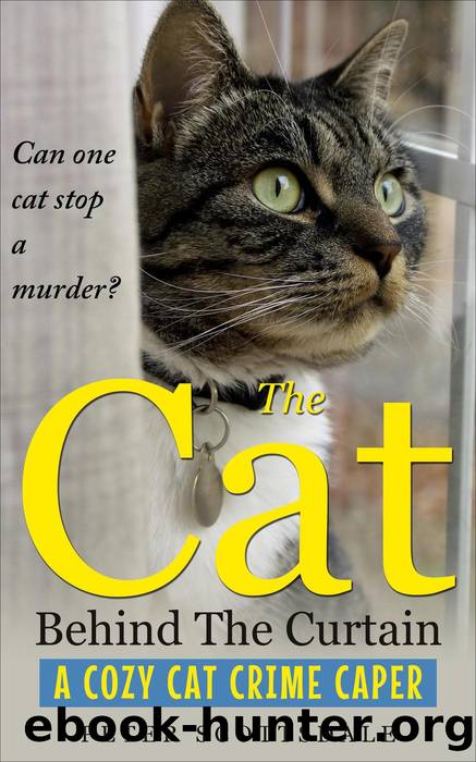 The Cat Behind the Curtain by Peter Scottsdale