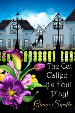 The Cat Called - It's Foul Play!: Widowbrook Mysteries, Book 3 by Ginny Sicotte