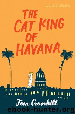 The Cat King of Havana by Tom Crosshill