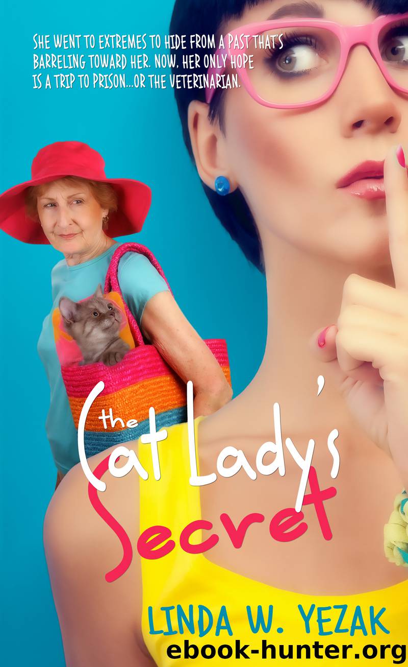 The Cat Lady's Secret by Linda W. Yezak