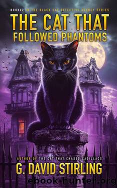 The Cat That Followed Phantoms: Black Cat Detective Agency Book #2 by G. David Stirling