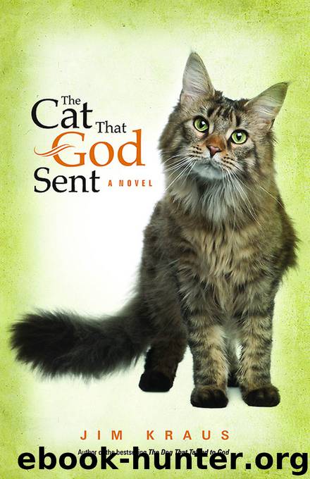 The Cat That God Sent by Jim Kraus