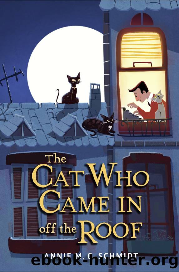 The Cat Who Came In off the Roof by Annie M. G. Schmidt